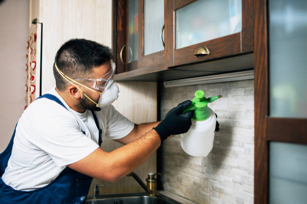 Best Affordable Pest Control Services  in Bronson, MI