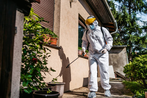 Best Insect Control  in Bronson, MI