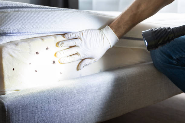 Best Best Pest Control Companies  in Bronson, MI