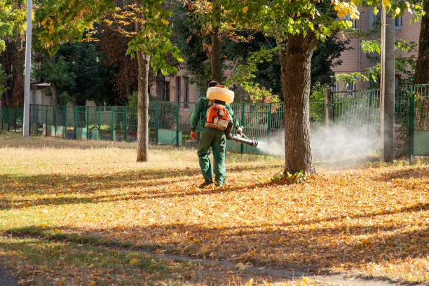 Best Wasp Removal Services  in Bronson, MI