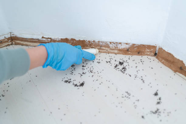 Best Pest Control for Businesses  in Bronson, MI